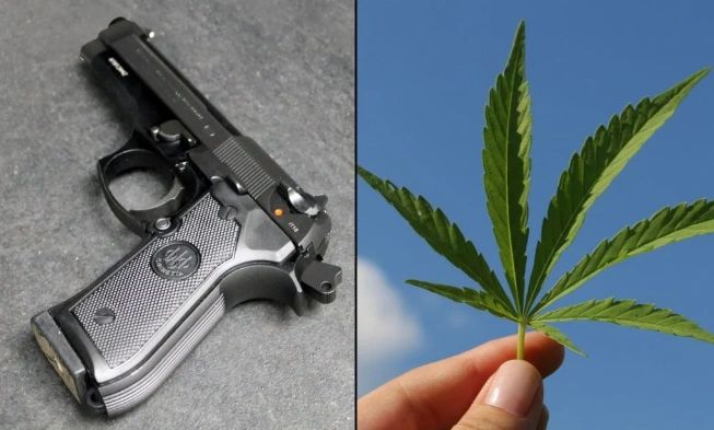 A handgun beside a hand holding a cannabis leaf