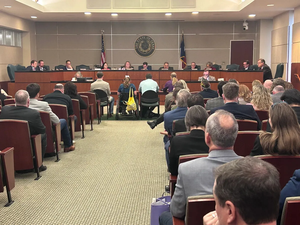 Members of the public fill the seats at the House State Affairs Committee hearing on April 7, 2025